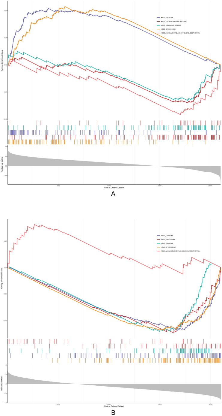 Figure 5