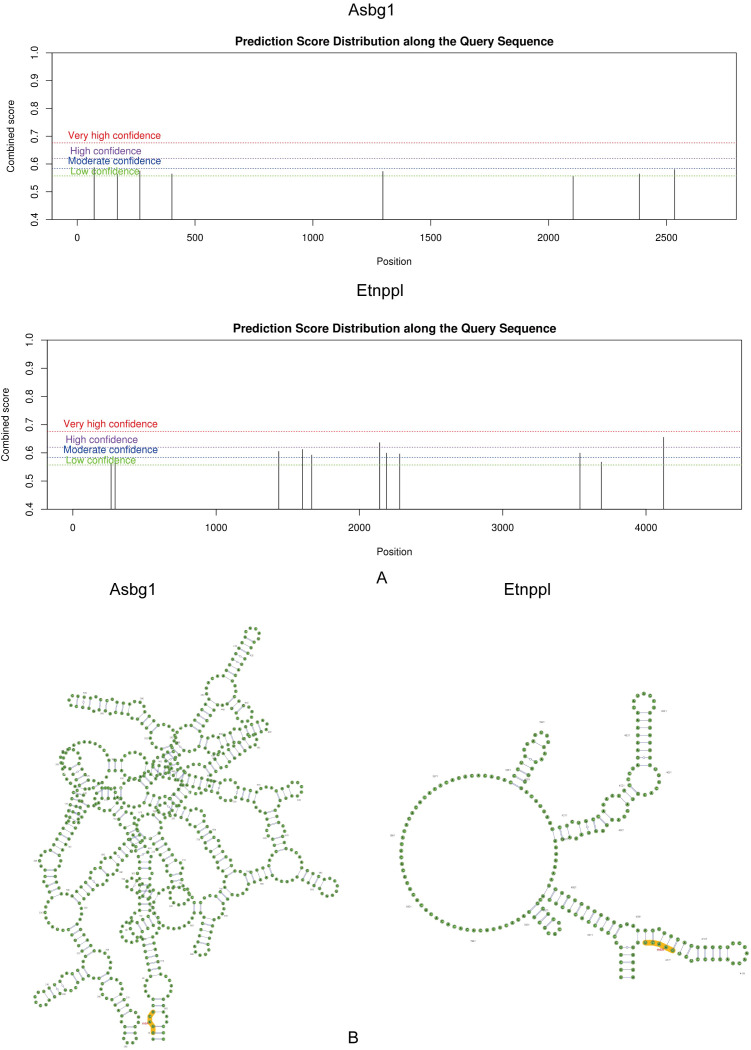 Figure 6