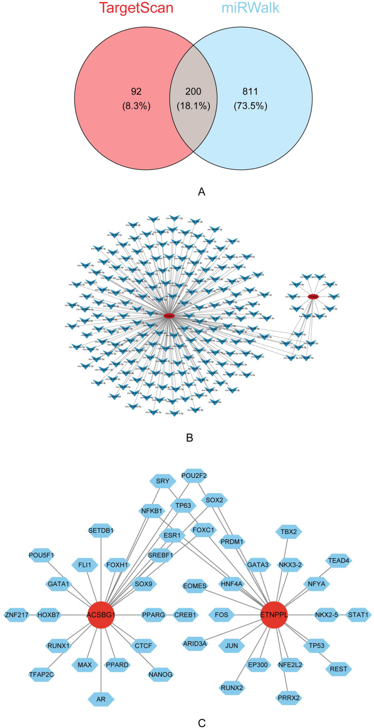 Figure 7