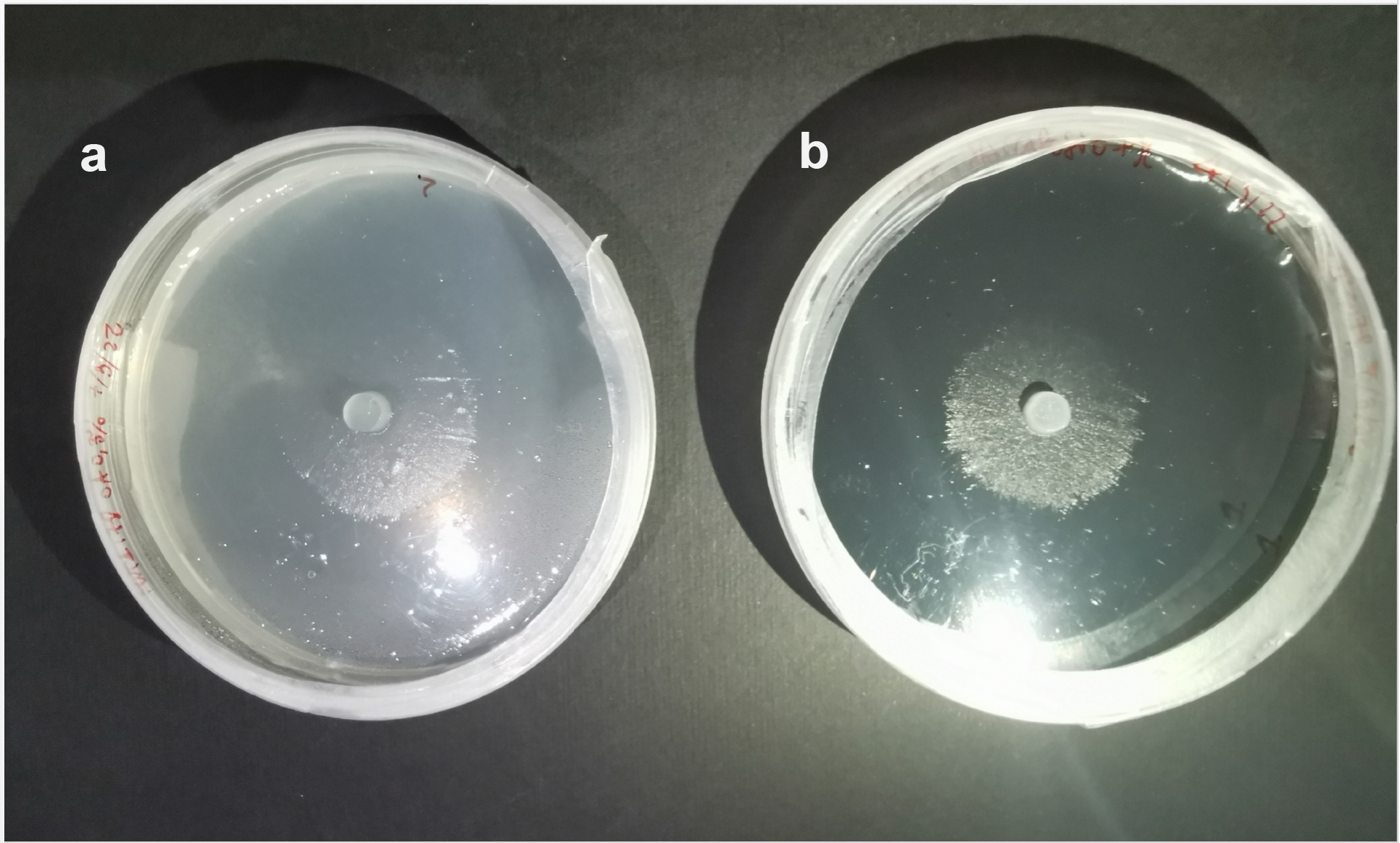 Figure 7