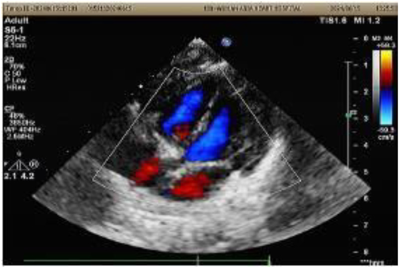Figure 7