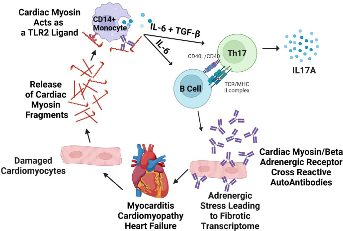 Figure 6