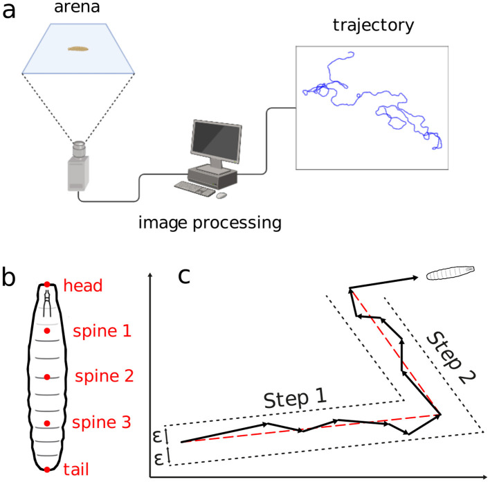 Figure 2