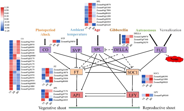 Figure 4