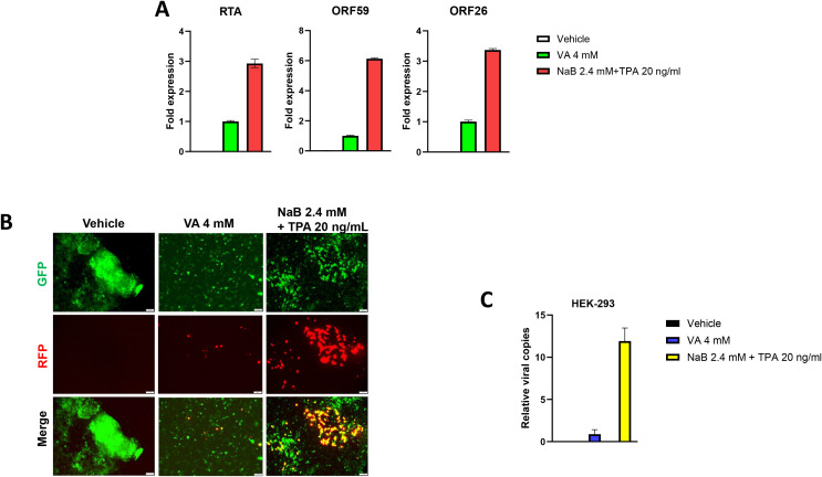 Figure 3