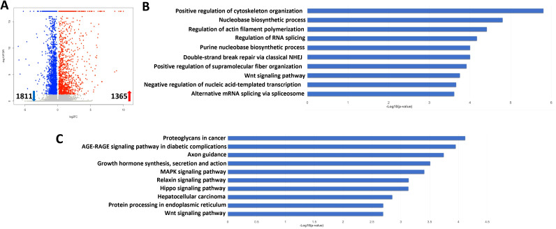 Figure 7