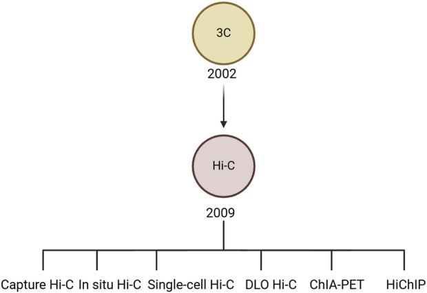 FIGURE 3
