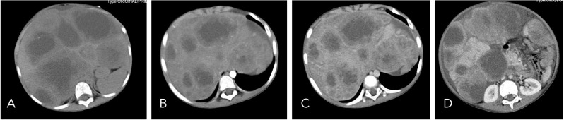 Figure 1