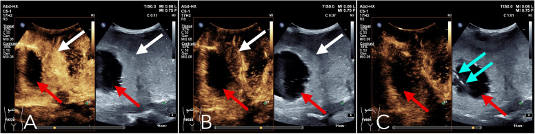 Figure 3