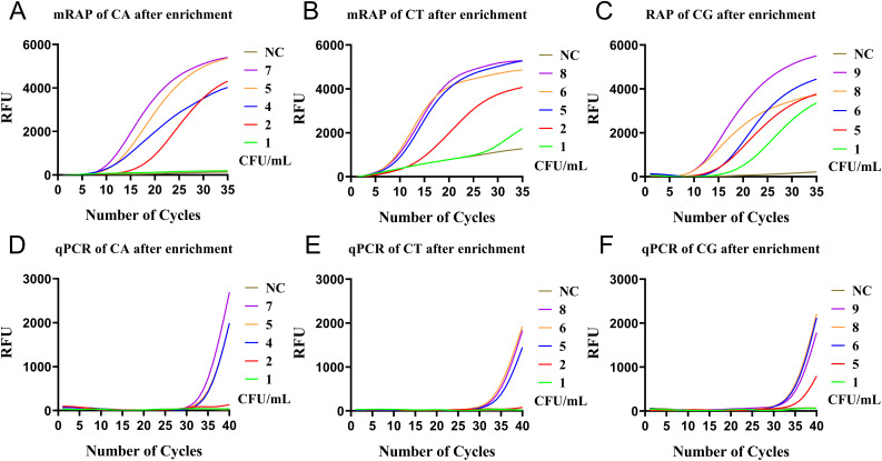 Figure 4