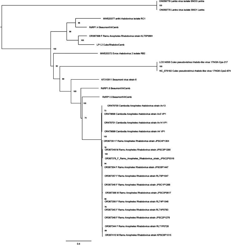Figure 4