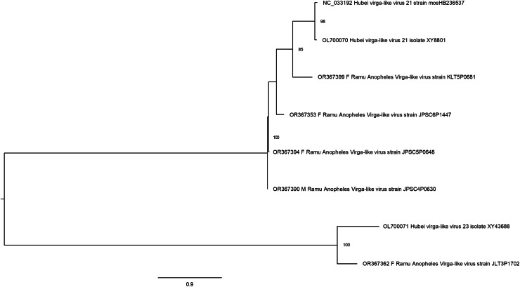 Figure 5