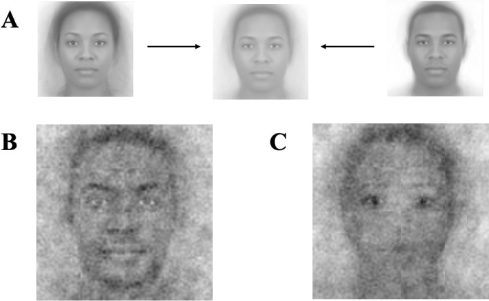 Fig 5