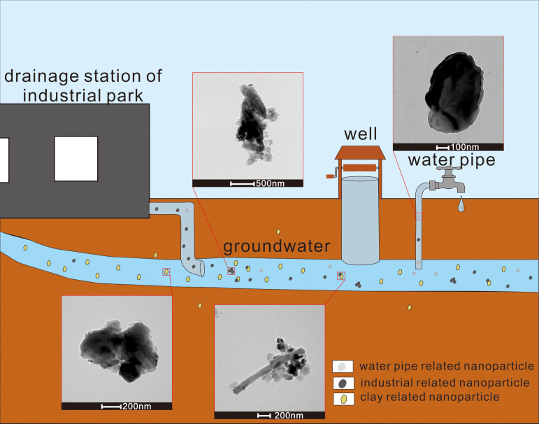 Fig 6