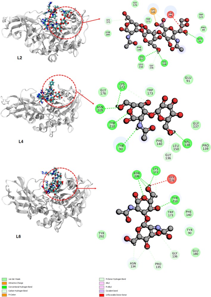 FIGURE 3