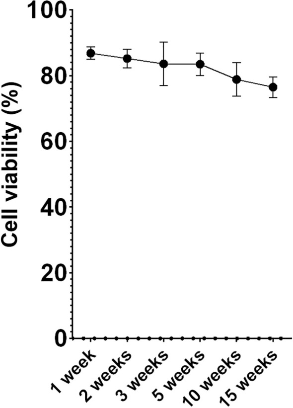 Figure 3