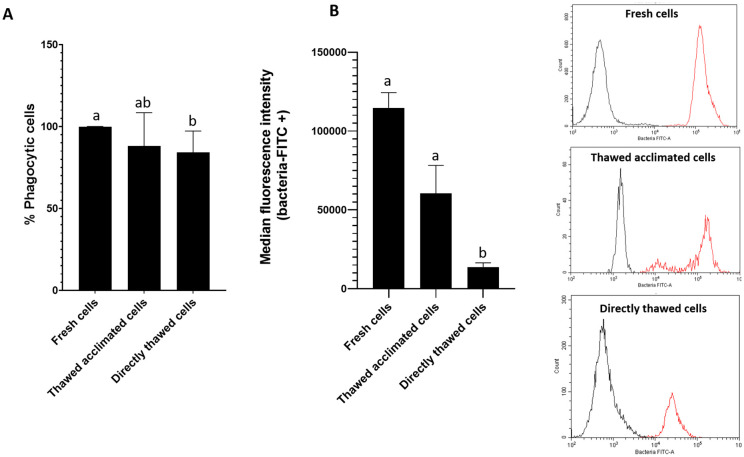Figure 5