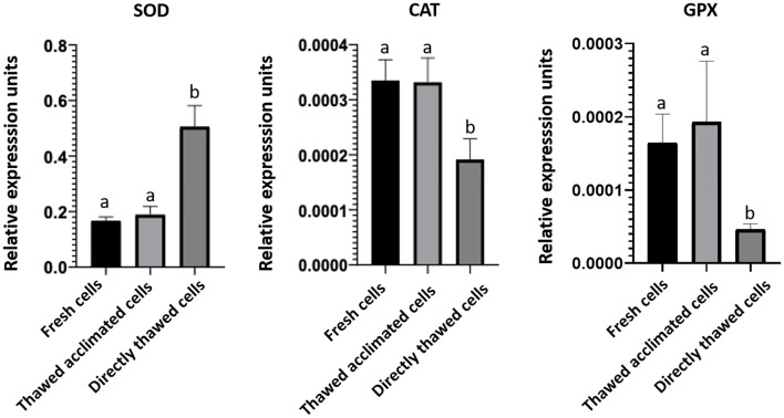 Figure 10