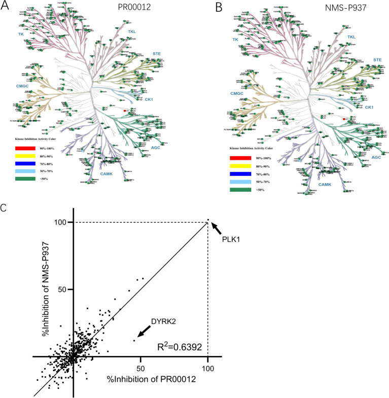 Figure 3
