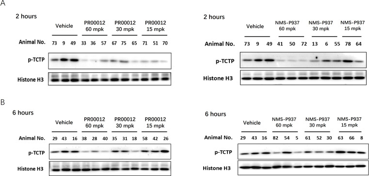 Figure 5