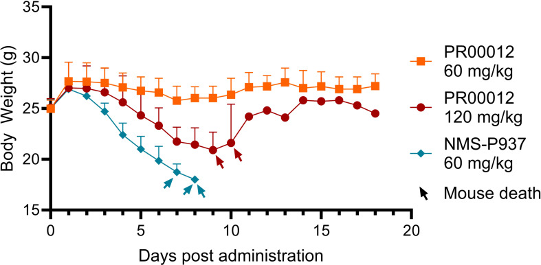 Figure 6