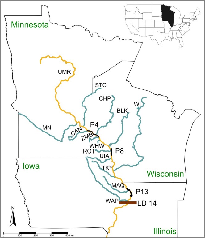 FIGURE 1