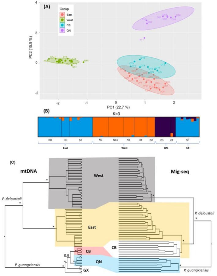 FIGURE 2