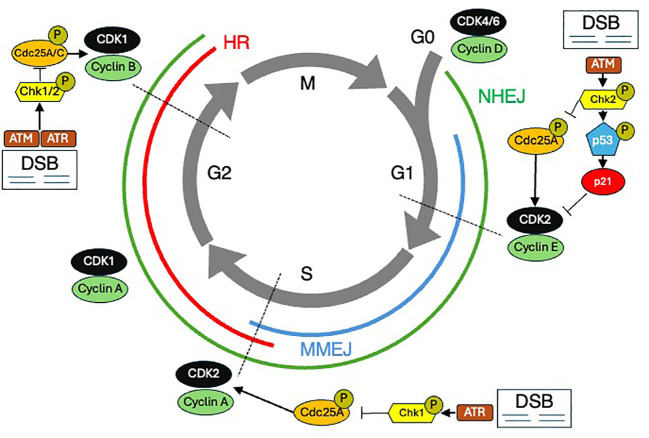 Figure 2