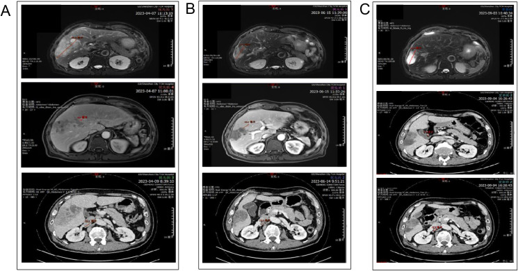 Figure 1
