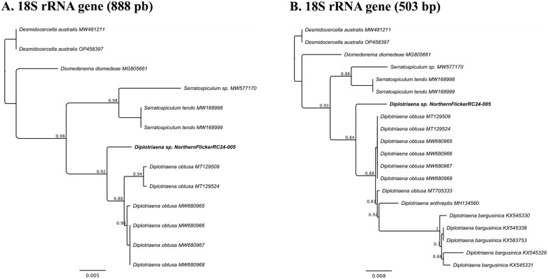 Figure 4