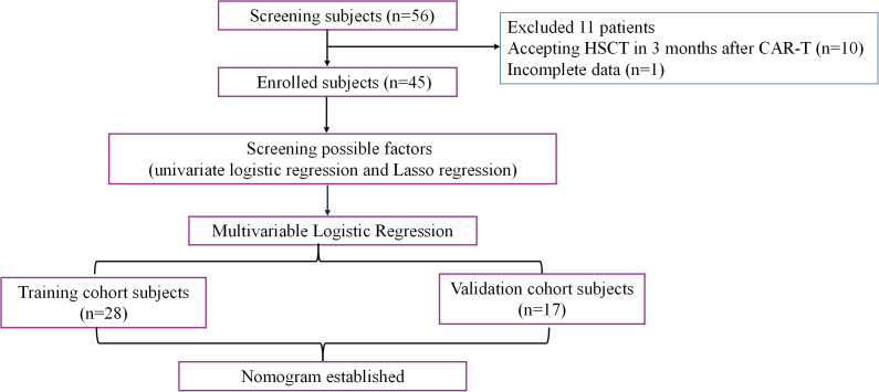 Figure 1