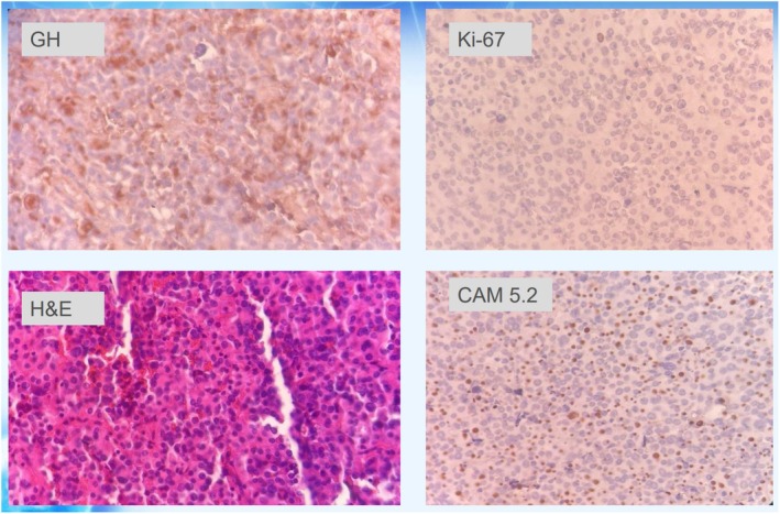 FIGURE 6