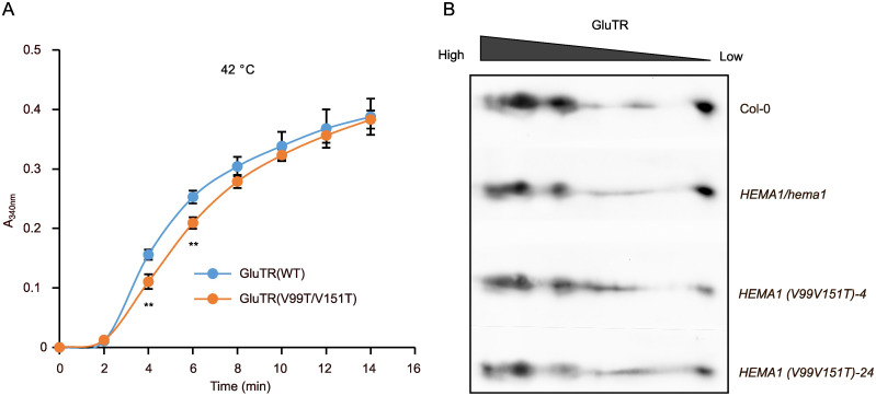 Figure 6