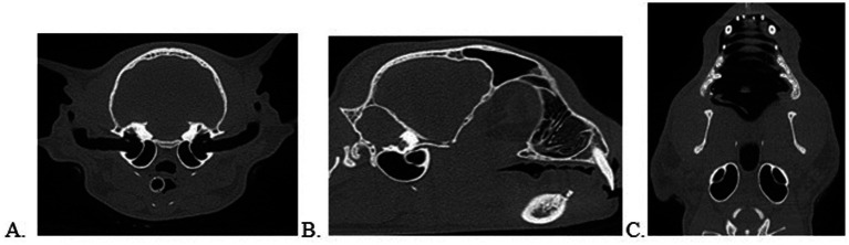 Figure 5