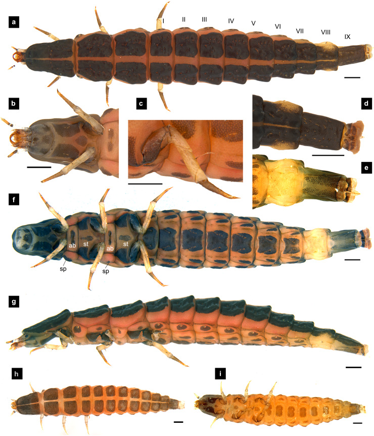 Figure 7
