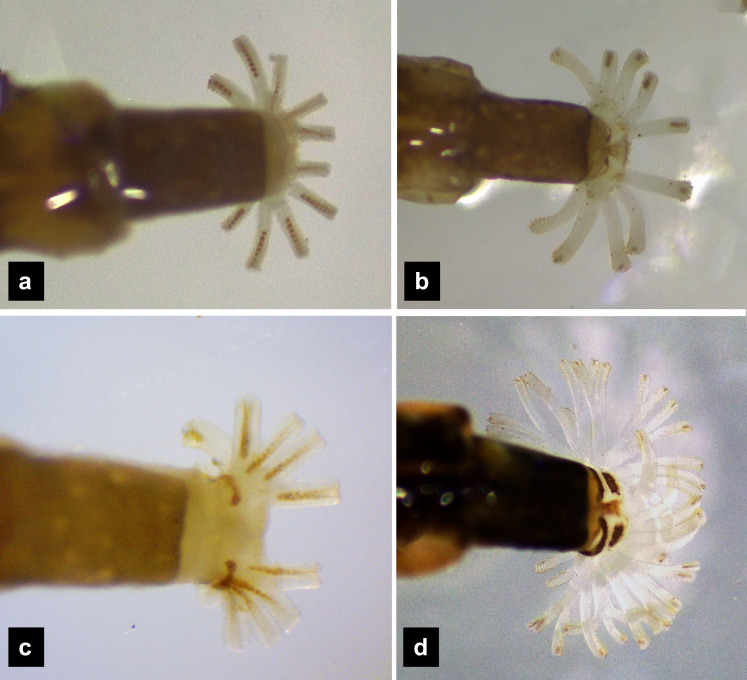 Figure 10