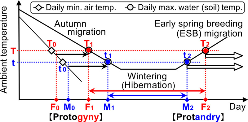 Fig 5