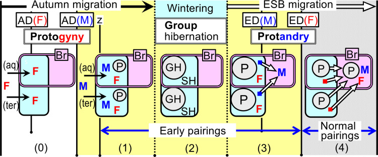 Fig 7