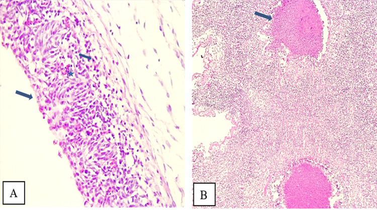 Fig 7