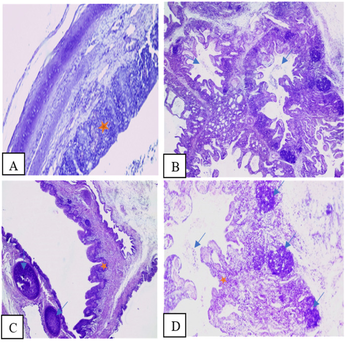 Fig 8