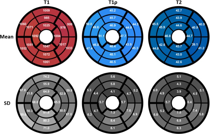FIGURE 8