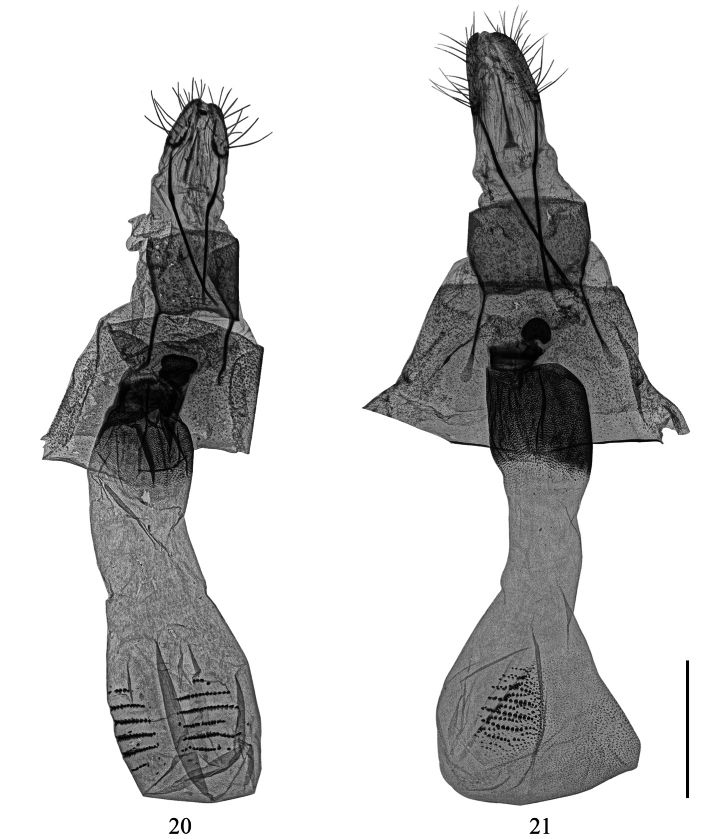 Figures 20, 21