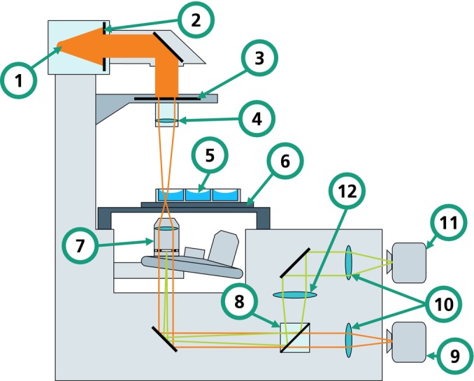 FIGURE 1