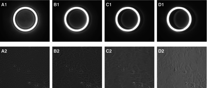 FIGURE 4
