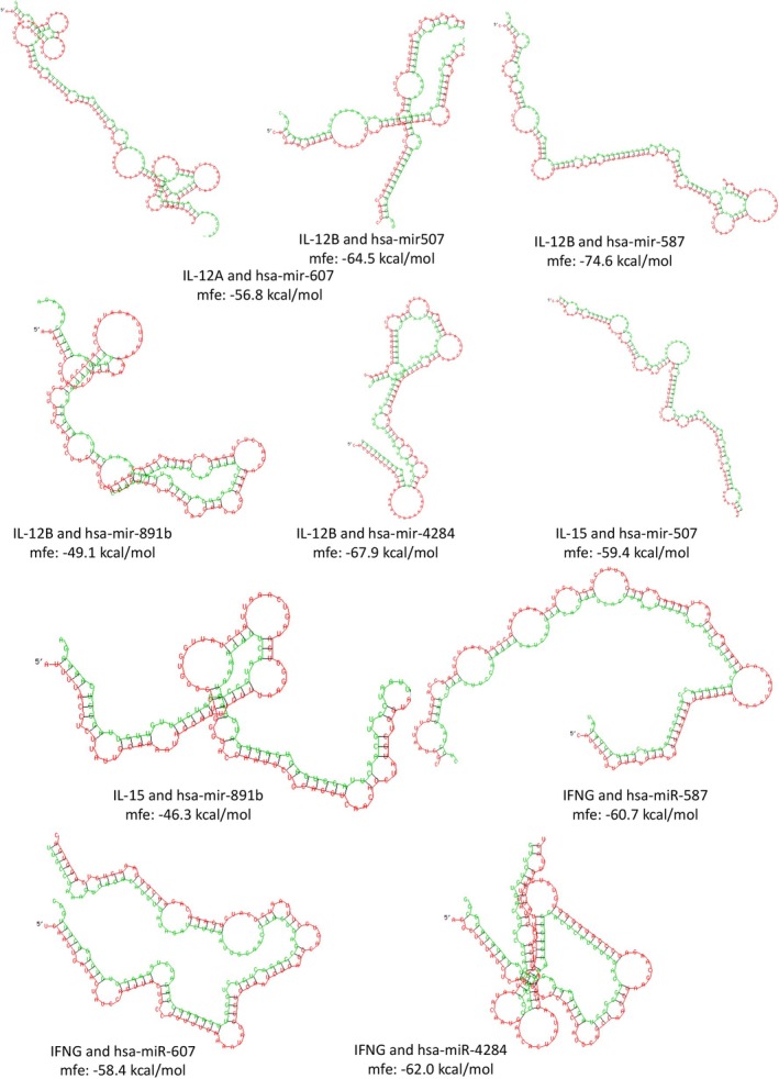 FIGURE 3