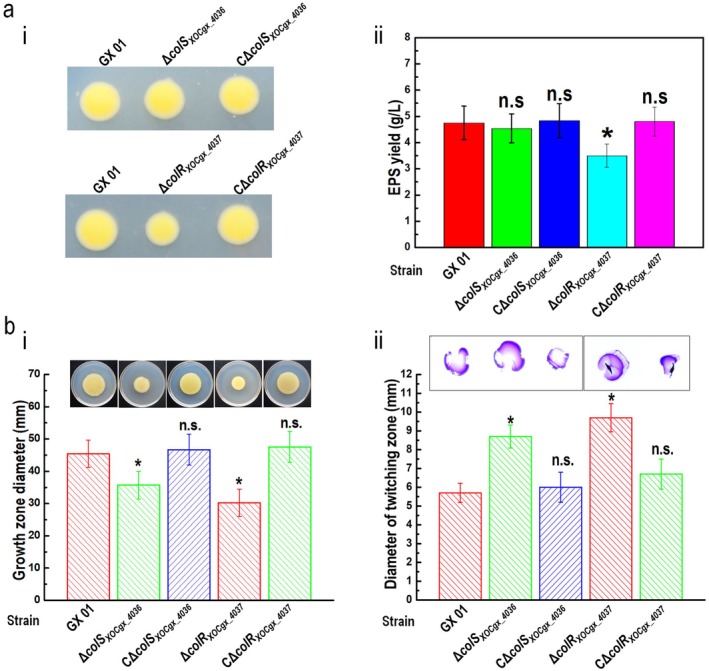 FIGURE 4