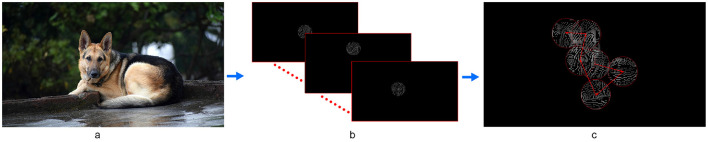 Figure 6