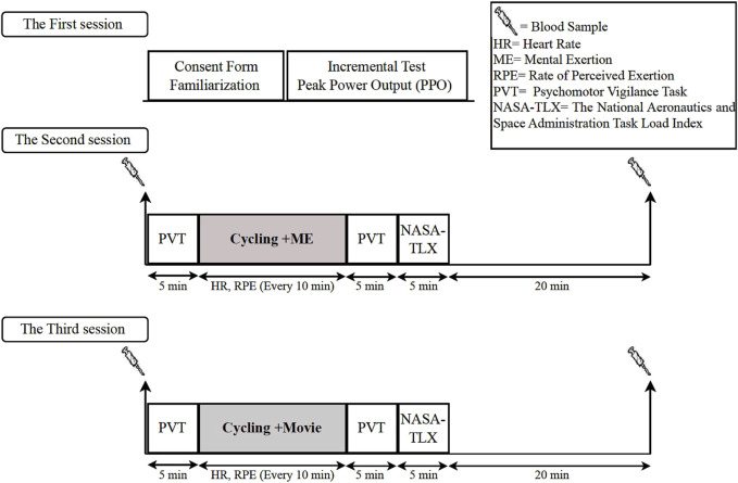 FIGURE 1