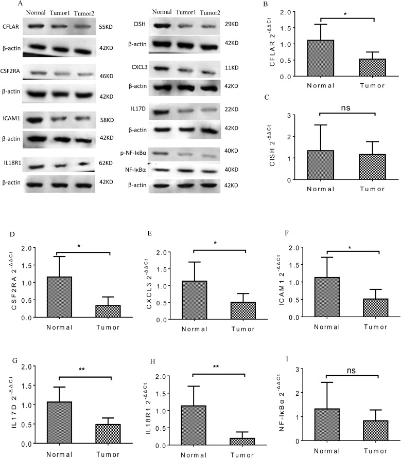 Figure 6