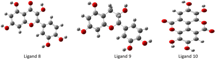 FIGURE 3